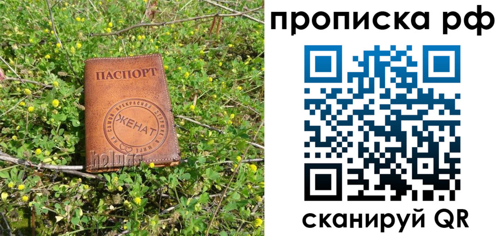 прописка паспорт в Топках